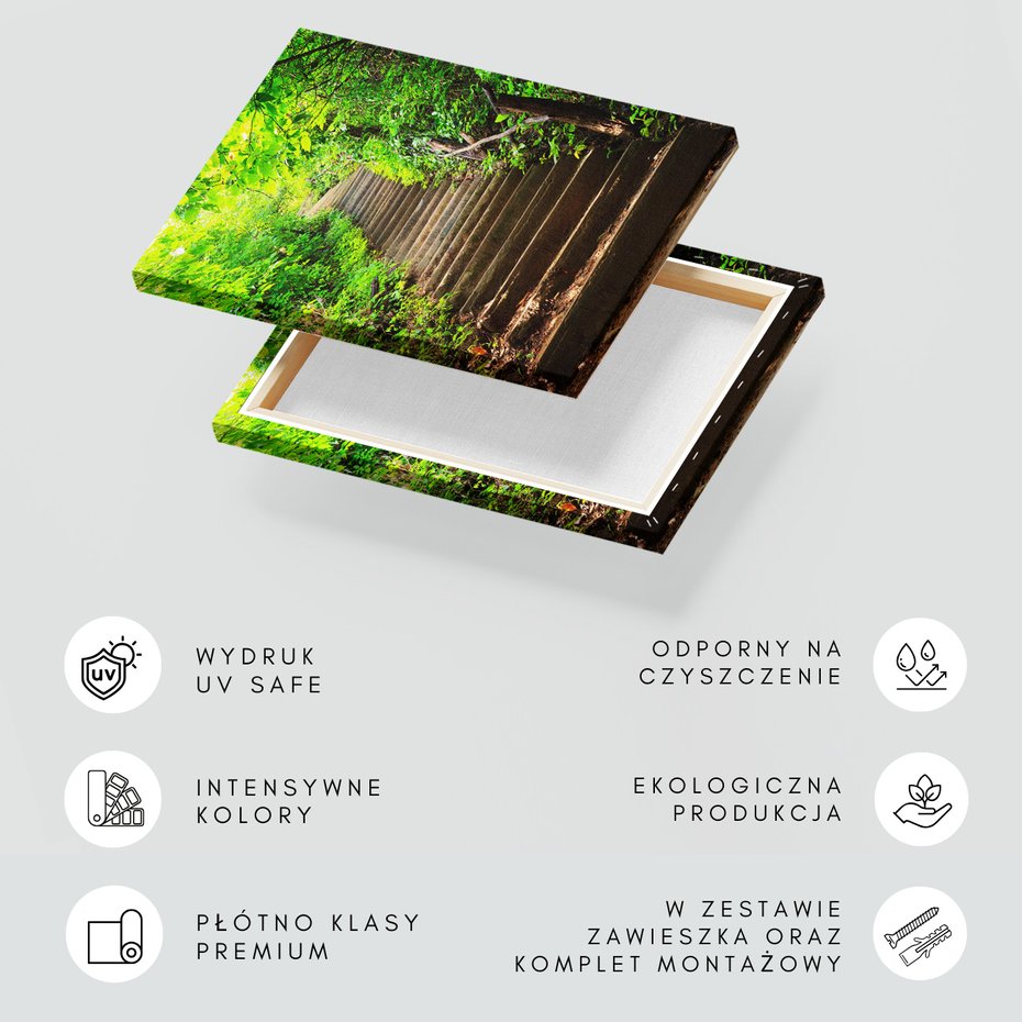 Obraz na płótnie - schody, las, zieleń