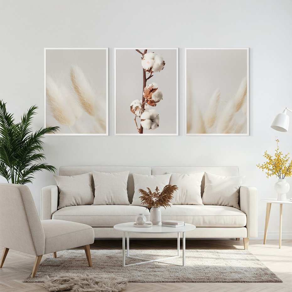 Zestaw obrazy w ramie, plakaty - bawełna, trawa, puszysty - rama biała