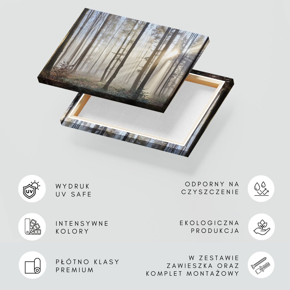 Obraz na płótnie - las, drzewa, mgła