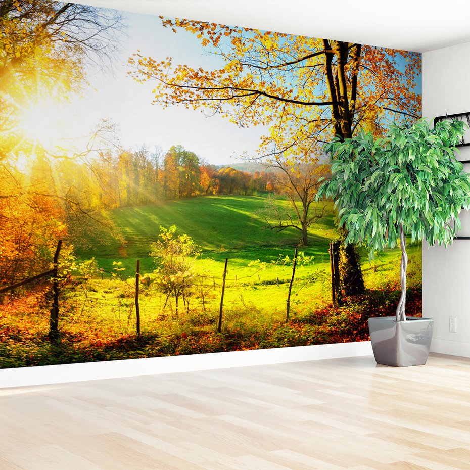 Fototapeta - jesień, krajobraz, drzewa