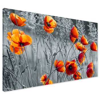 Obraz na płótnie - maki, kwiaty, natura
