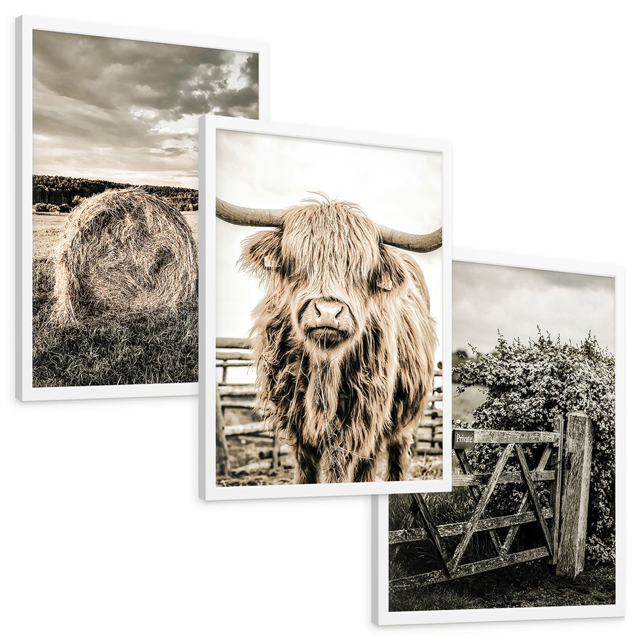 Zestaw obrazy w ramie, plakaty - wieś, zwierzęta, krajobraz - rama biała