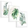 Zestaw obrazy w ramie, plakaty - liście, monstera, rośliny - rama biała