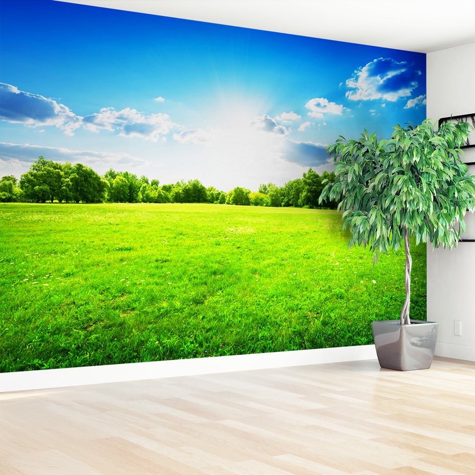 Fototapeta - krajobraz, łąka, drzewa