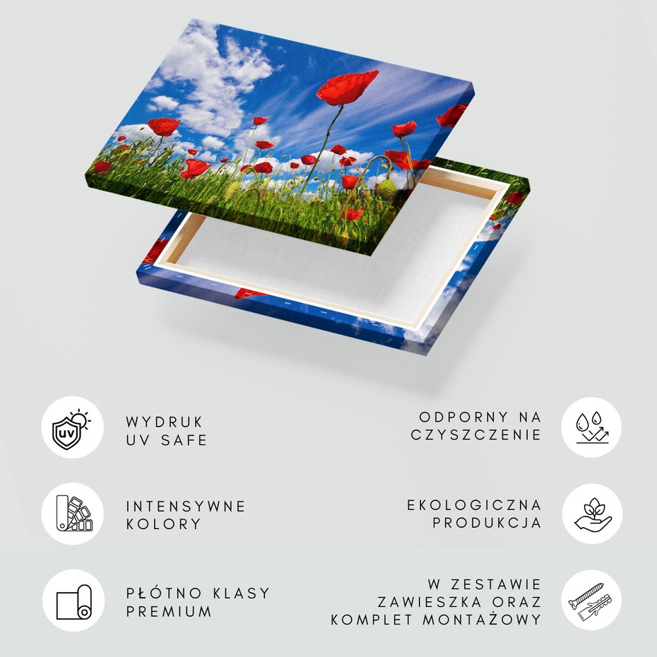 Obraz na płótnie - maki, kwiaty, lato