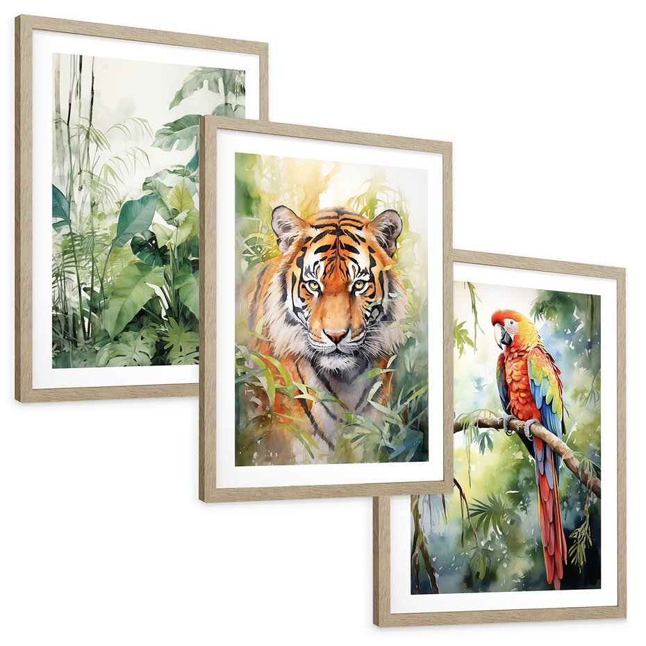 Zestaw obrazy w ramie, plakaty - papuga, liście, tygrys - rama drewno