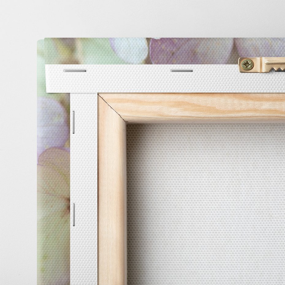 Obraz na płótnie - kwiaty, hortensja, płatki