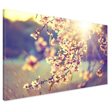 Obraz na płótnie - kwiaty, wiosna, słońce