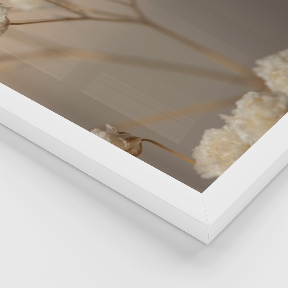 Zestaw obrazy w ramie, plakaty - kwiaty, roślina, suszone - rama biała