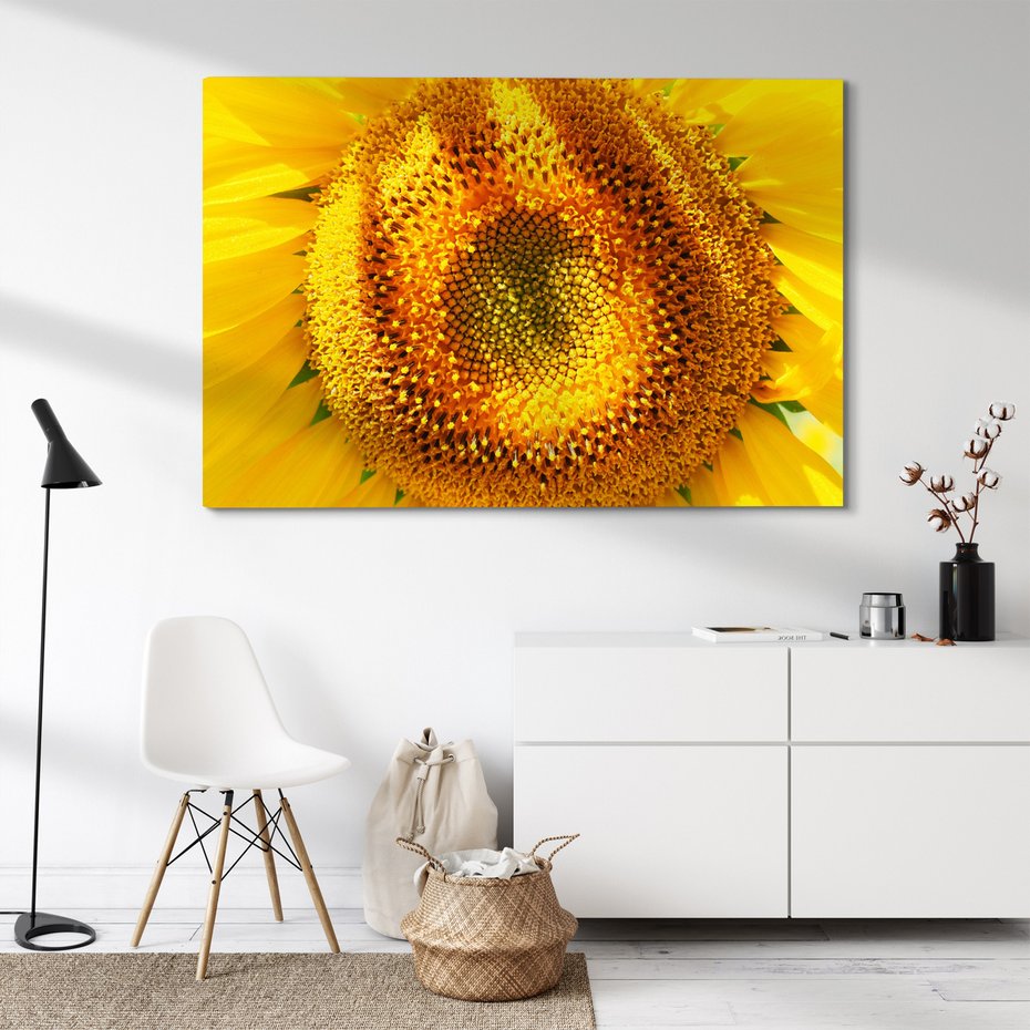 Obraz na płótnie - słonecznik, kwiat, żółty