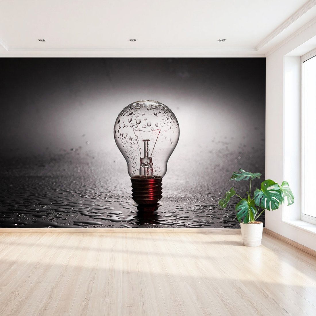 Fototapeta - żarówka, woda, krople