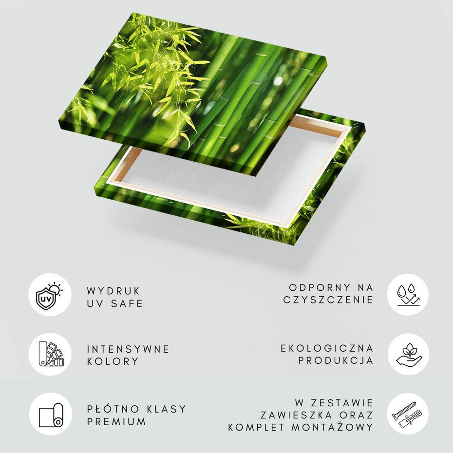 Obraz na płótnie - bambus, liście, zieleń