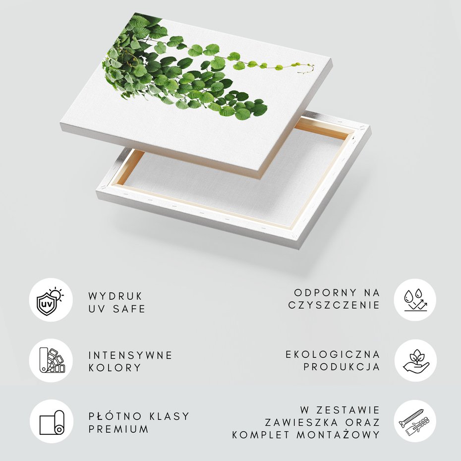 Obraz na płótnie - liście, zielony, roślina