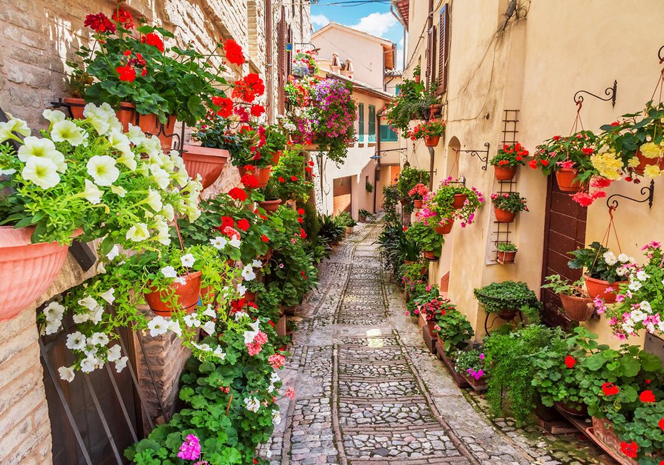 Fototapeta - kwiaty, uliczka, miasto