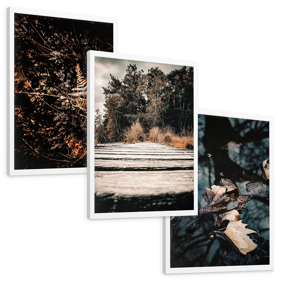 Zestaw obrazy w ramie, plakaty - natura, liście, drzewa - rama biała