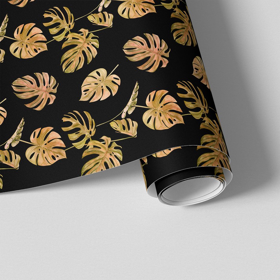 Tapeta - liście, monstera, natura