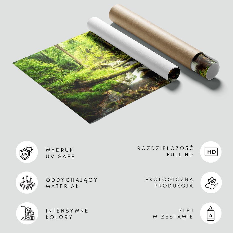 Fototapeta - las, potok, natura