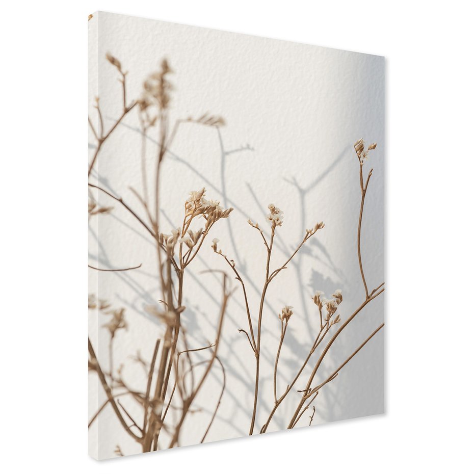Obraz na płótnie - kwiaty, suszone, brązowe