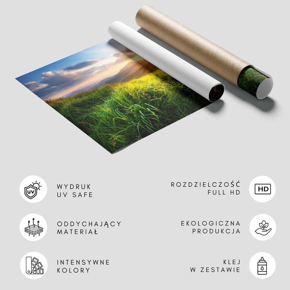 Fototapeta - góry, trawa, słońce