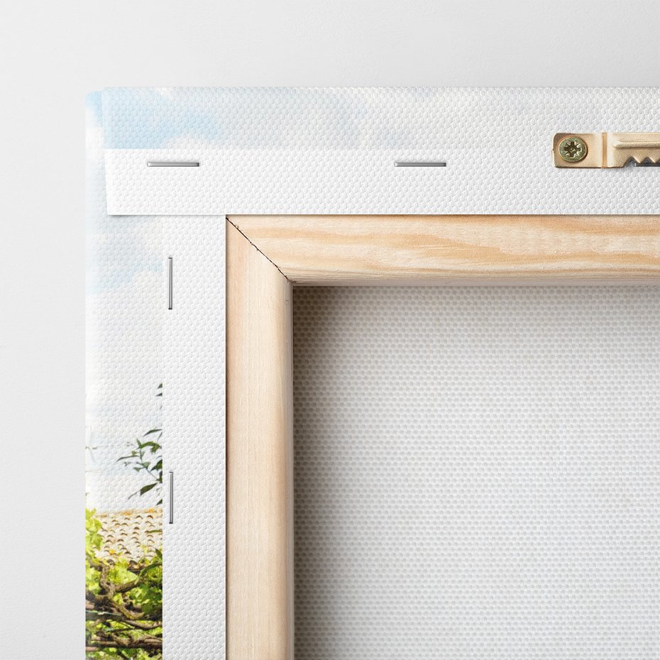 Obraz na płótnie - uliczka, kwiaty, kamienie