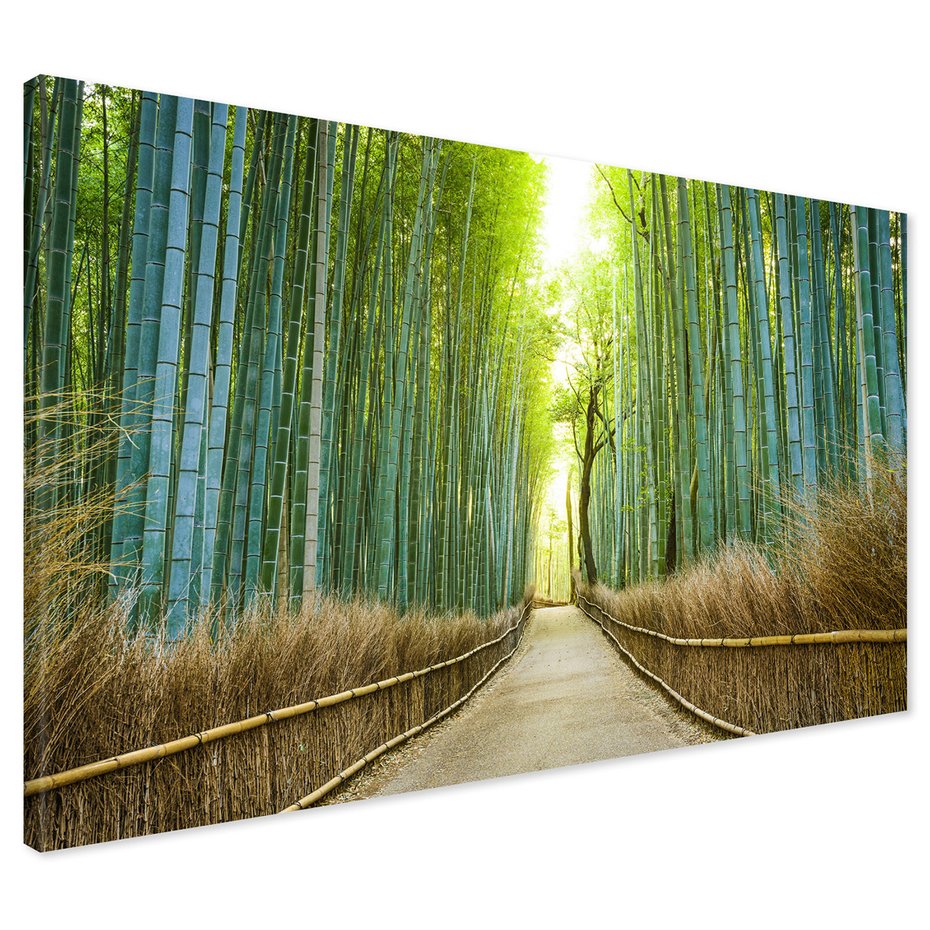 Obraz na płótnie - bambusowy, las, ścieżka