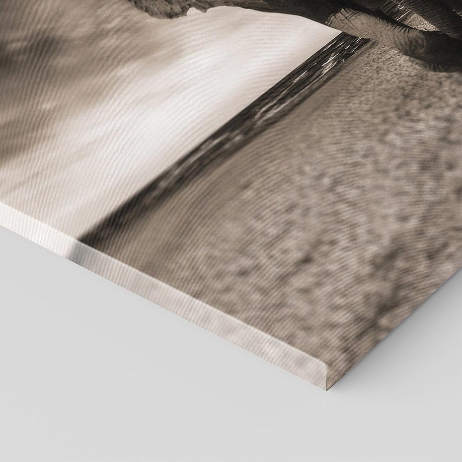 Obraz na płótnie - słoń, plaża, morze