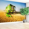 Fototapeta - żniwa, kombajn, pole