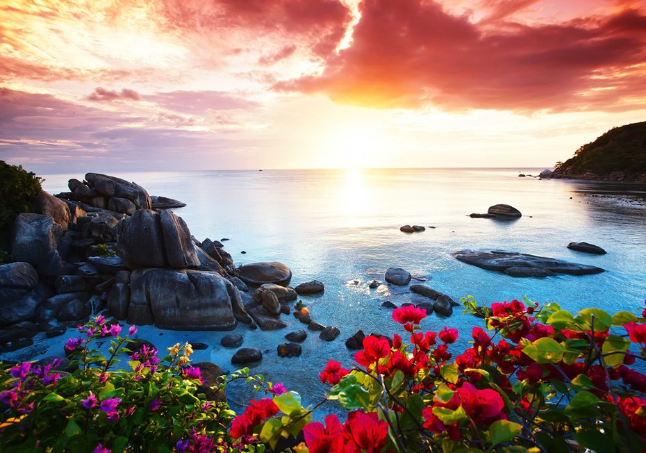 Fototapeta - morze, skały, kwiaty