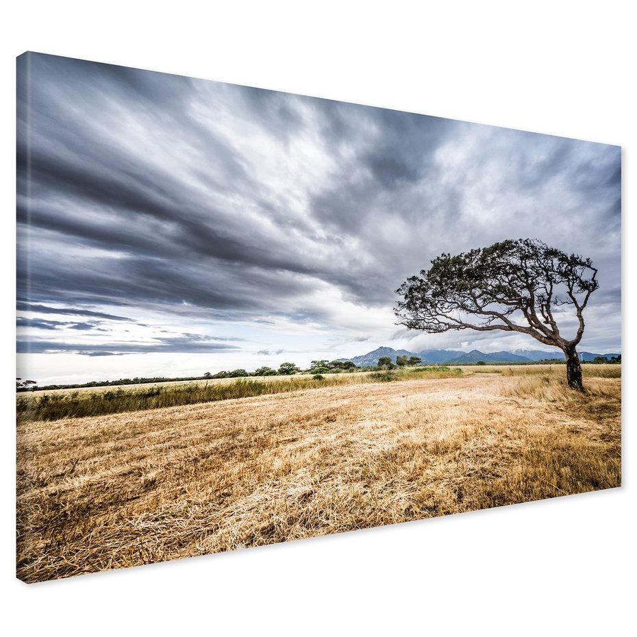 Obraz na płótnie - krajobraz, drzewo, chmury