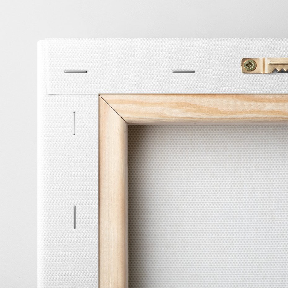 Obraz na płótnie - kot, zwierzę, portret