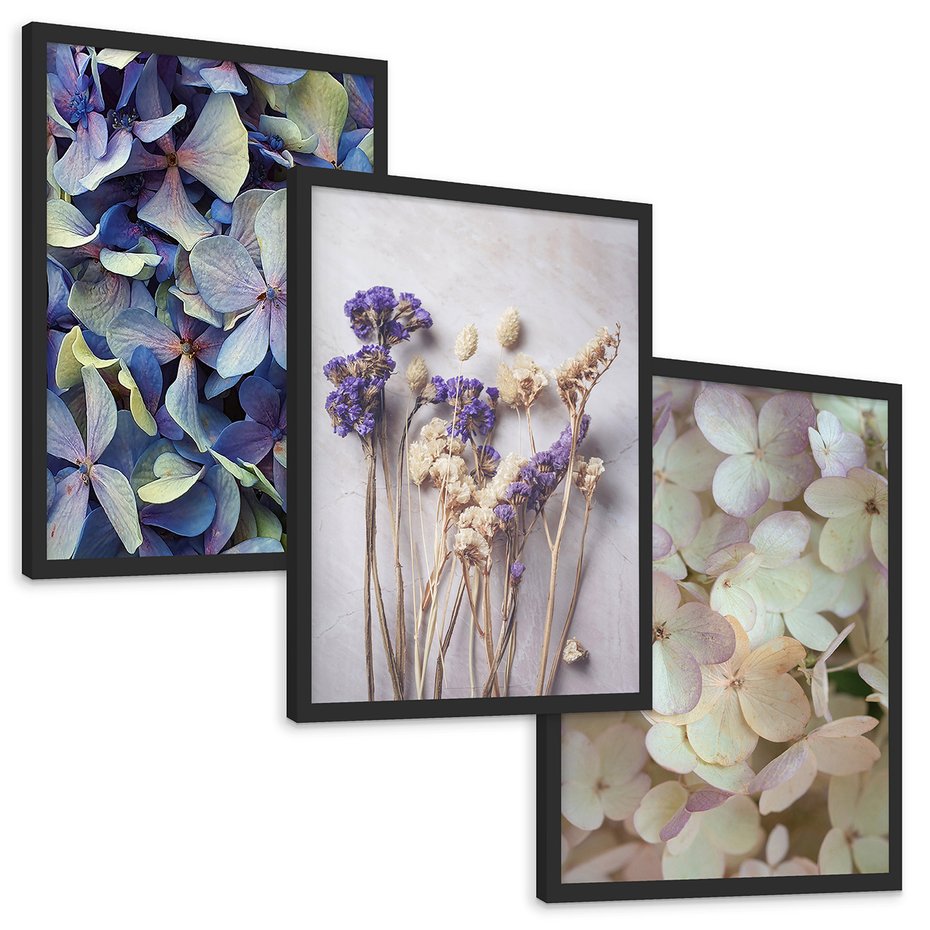 Zestaw obrazy w ramie, plakaty - kwiaty, hortensje, suszone kwiaty - rama czarna