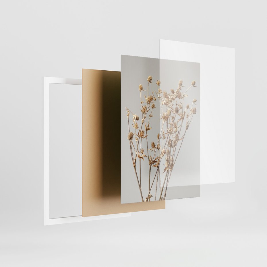Zestaw obrazy w ramie, plakaty - roślina, kwiat, suszone - rama biała