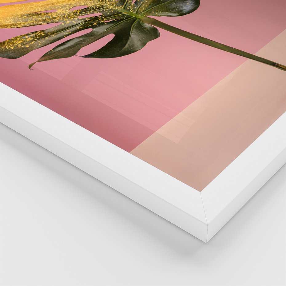 Zestaw obrazy w ramie, plakaty - liść, monstera, roślina - rama biała