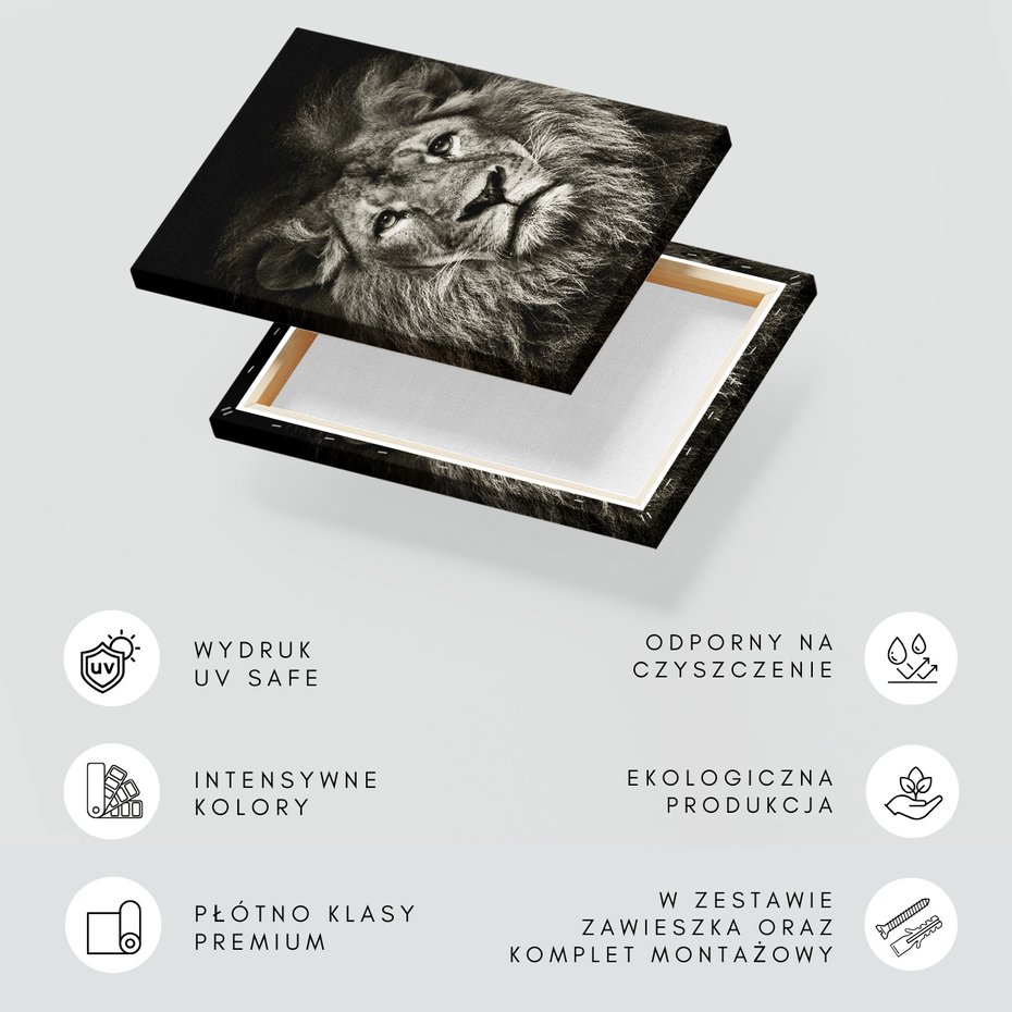 Obraz na płótnie - Lew, Portret, Drapieżnik