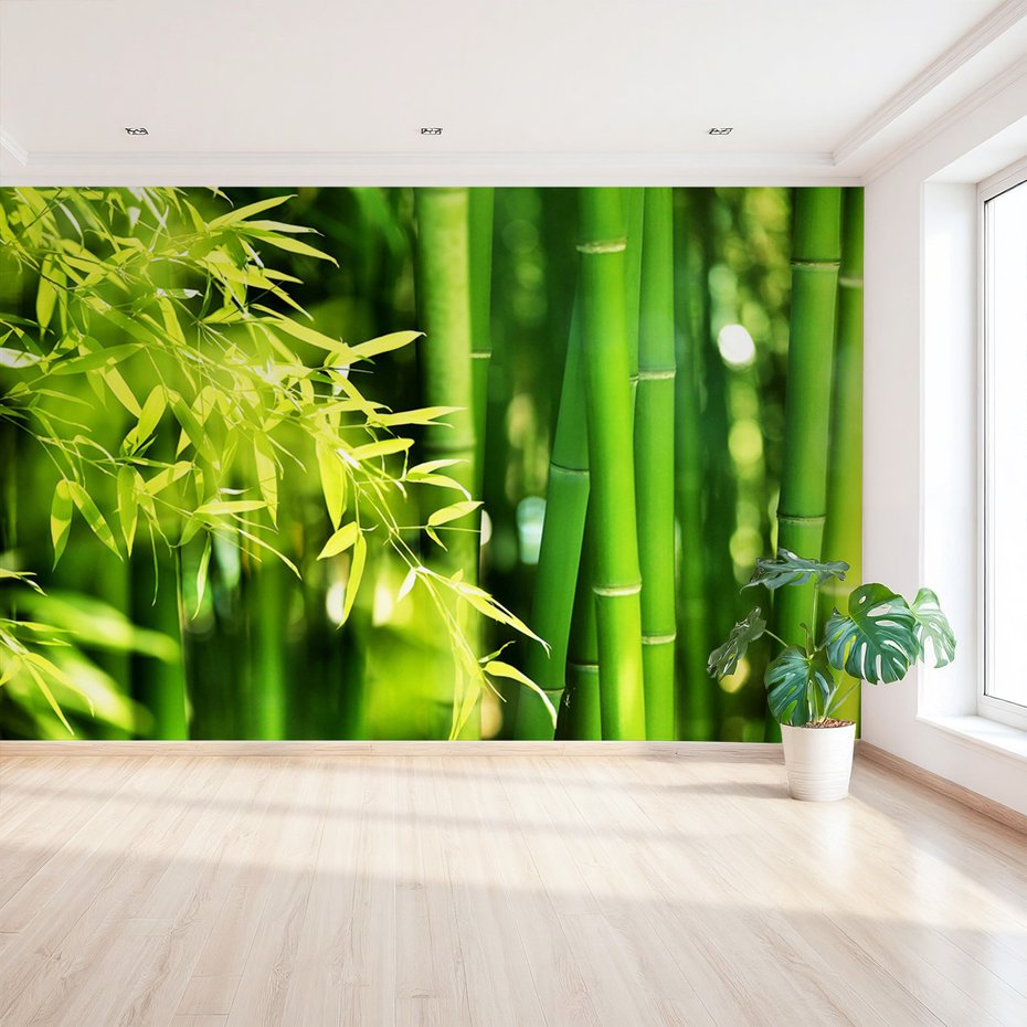 Fototapeta - bambus, liście, natura