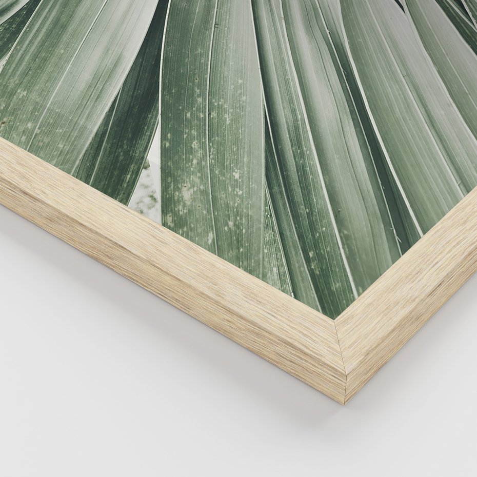 Zestaw obrazy w ramie, plakaty - liście palmowe, rośliny, natura - rama drewno