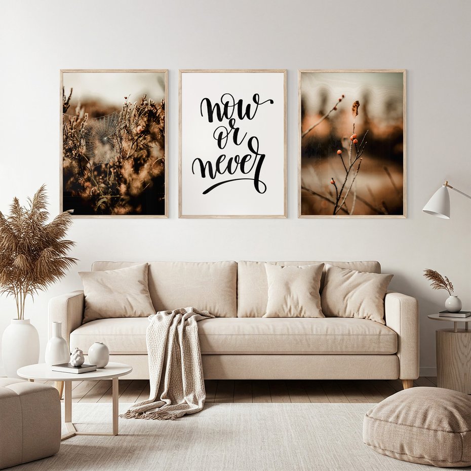 Zestaw obrazy w ramie, plakaty - przyroda, pajęczyna, owoce - rama drewno