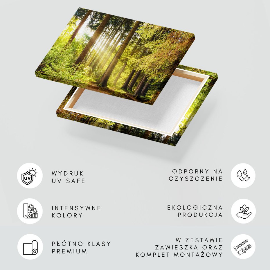 Obraz na płótnie - las, drzewa, natura