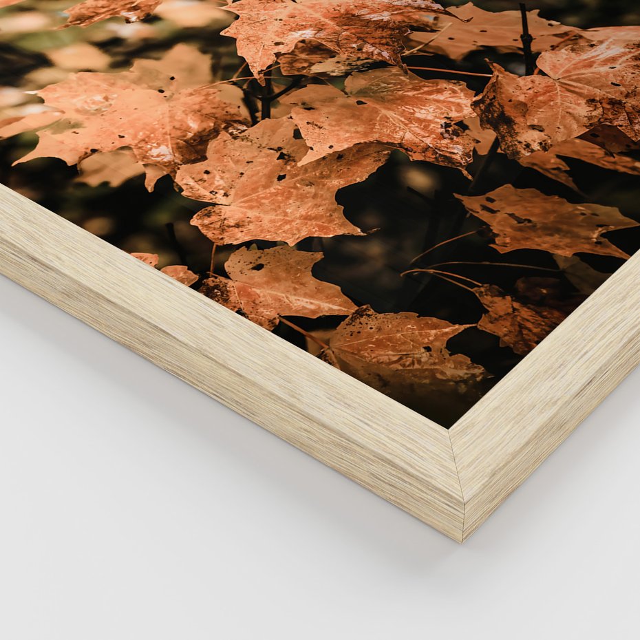 Zestaw obrazy w ramie, plakaty - liście, jesień, droga - rama drewno