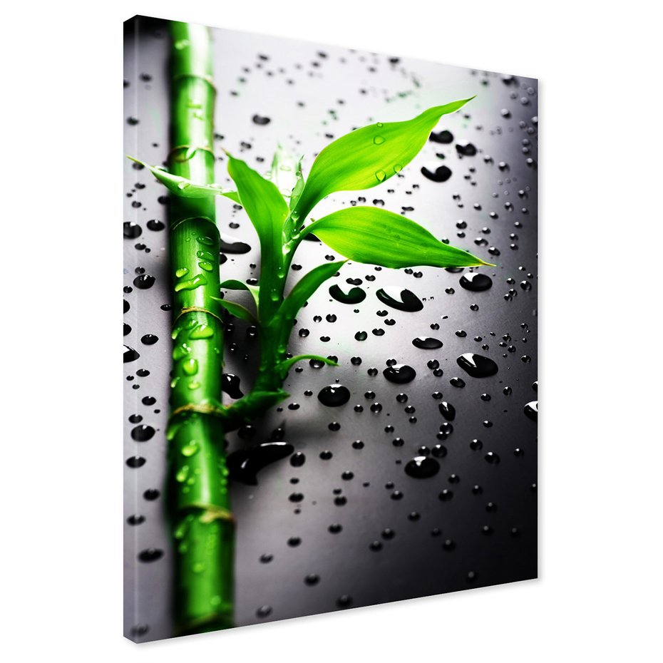 Obraz na płótnie - bambus, liście, krople