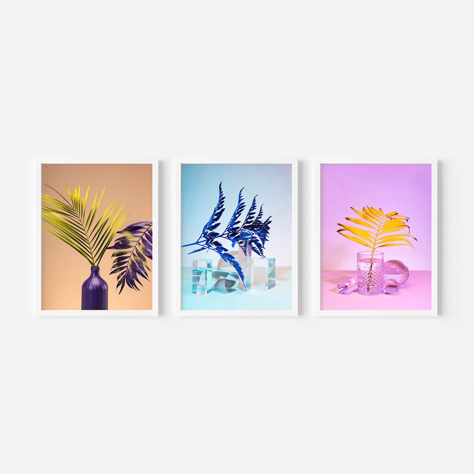 Zestaw obrazy w ramie, plakaty - liście, rośliny, minimalizm - rama biała