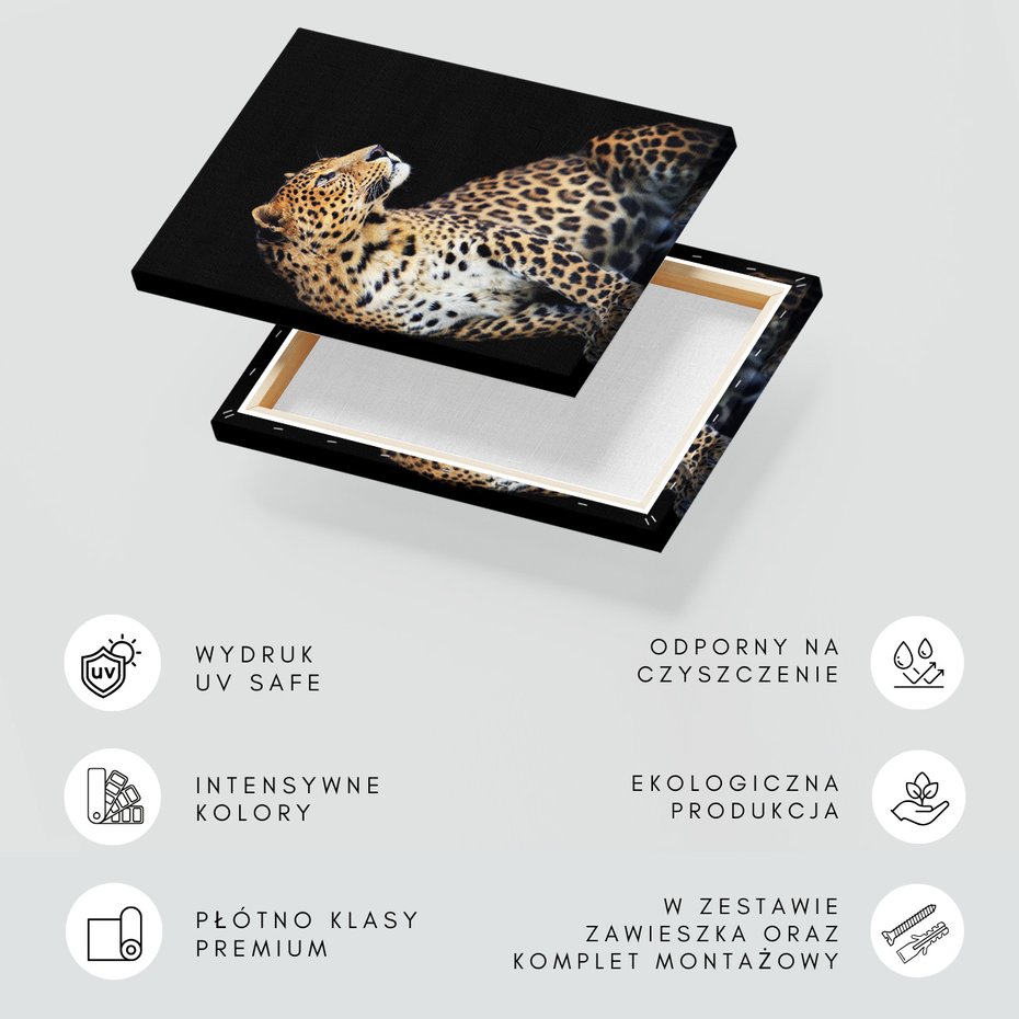 Obraz na płótnie - leopard, zwierzę, kot