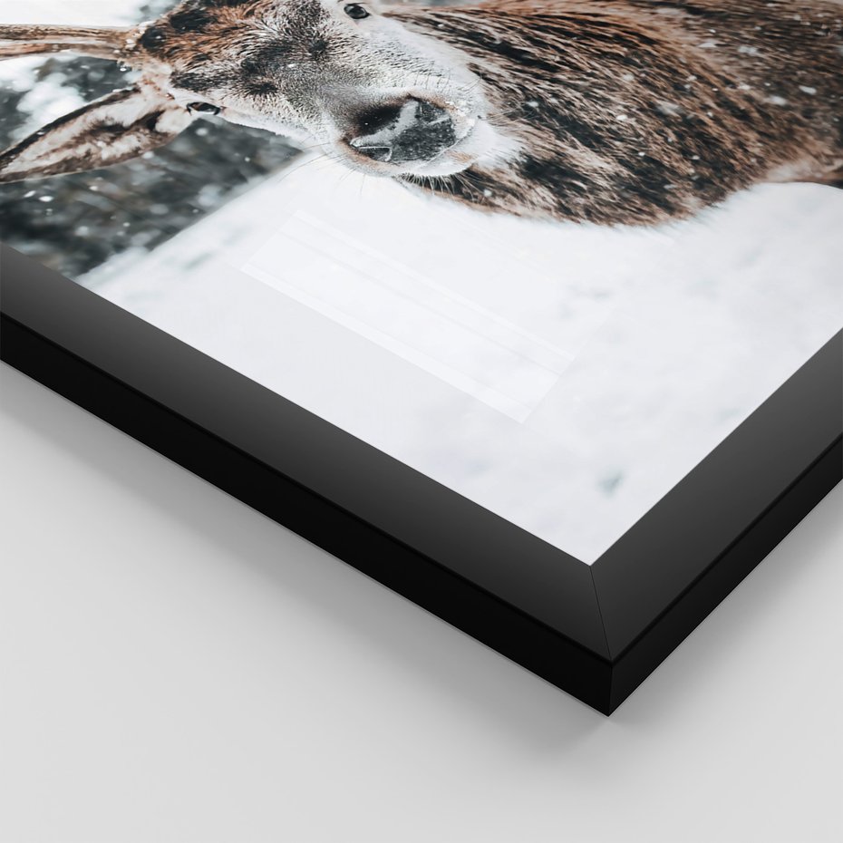 Zestaw obrazy w ramie, plakaty - zwierzęta, zima, śnieg - rama czarna