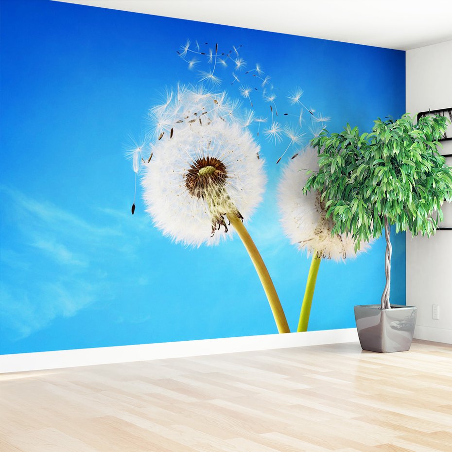 Fototapeta - dmuchawce, niebo, natura