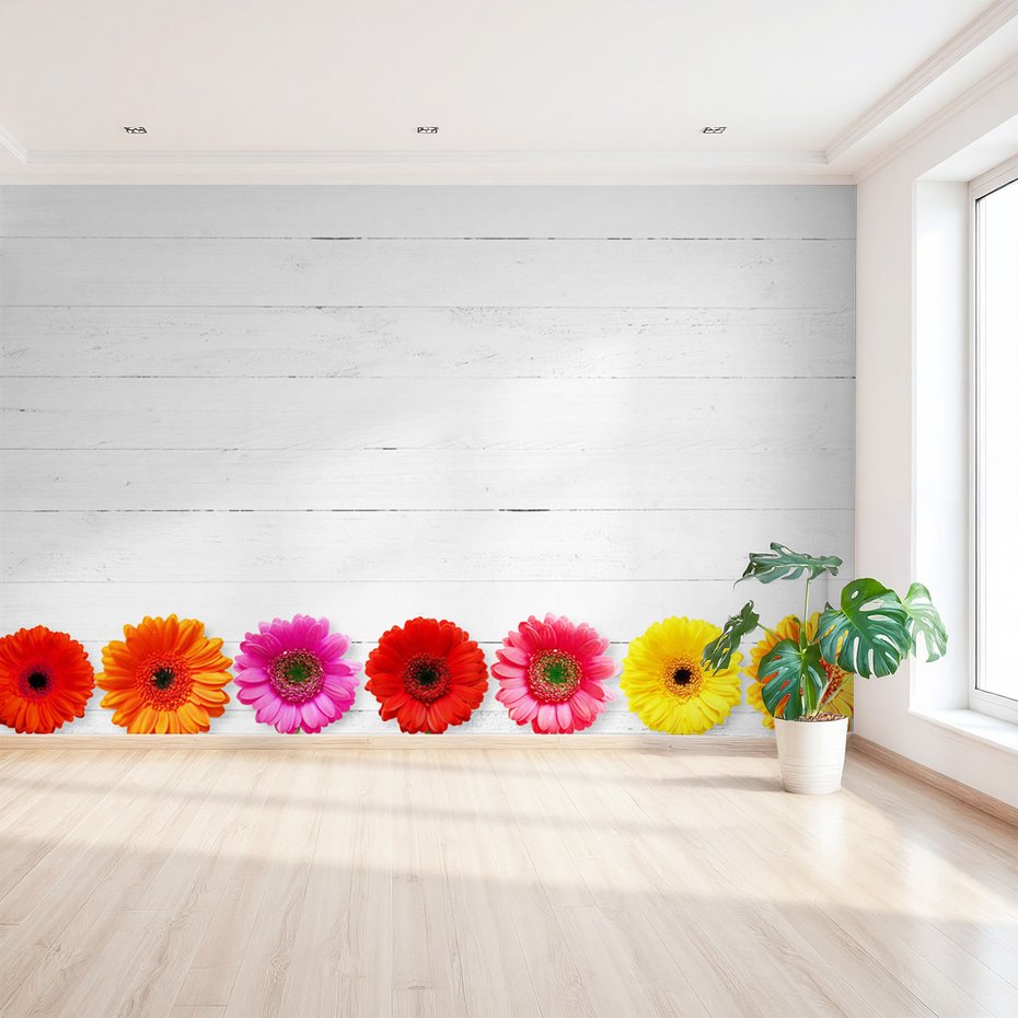 Fototapeta - kwiaty, gerbery, kolorowe