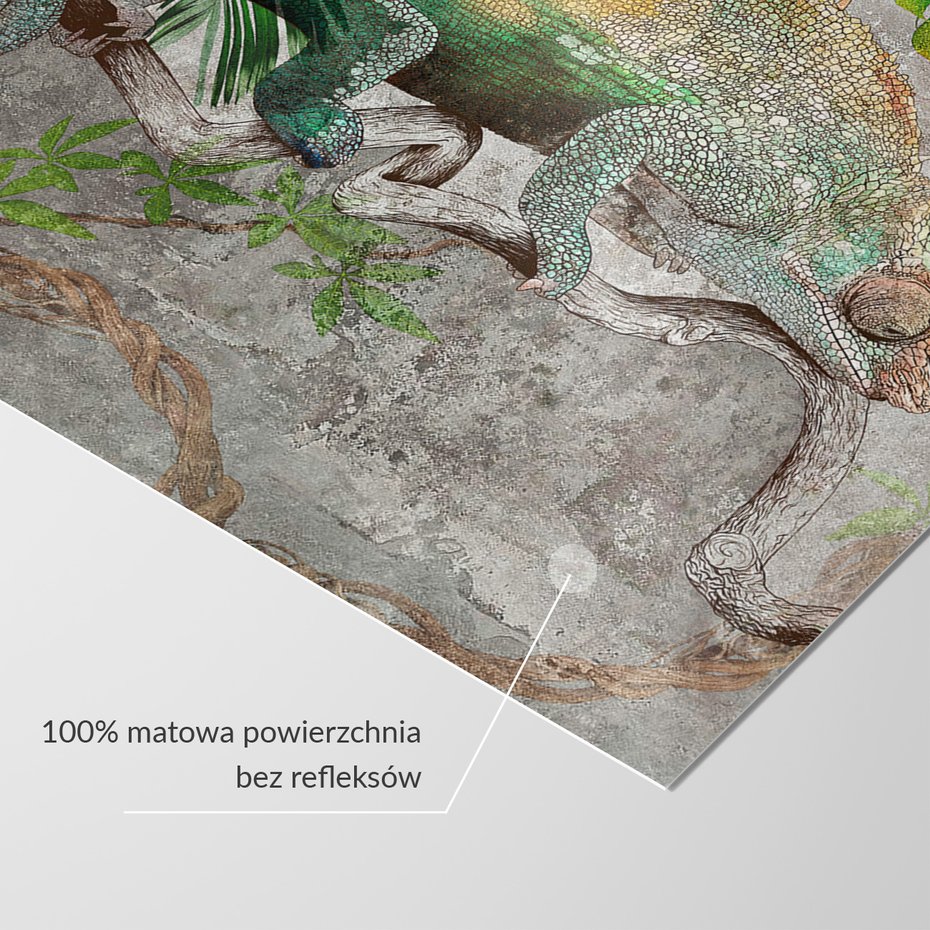 Fototapeta - beton, kameleon, tropikalne