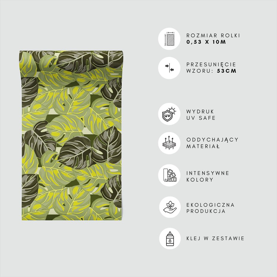 Tapeta - liście, monstera, tropikalny