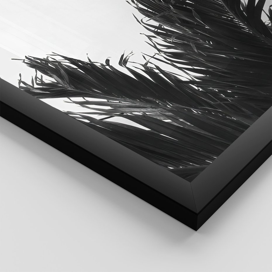 Zestaw obrazy w ramie, plakaty - palmy, liście, tropikalne - rama czarna