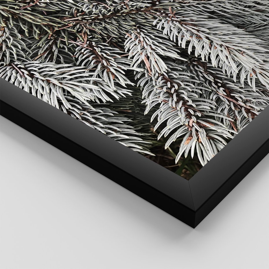 Zestaw obrazy w ramie, plakaty - zima, śnieg, las - rama czarna