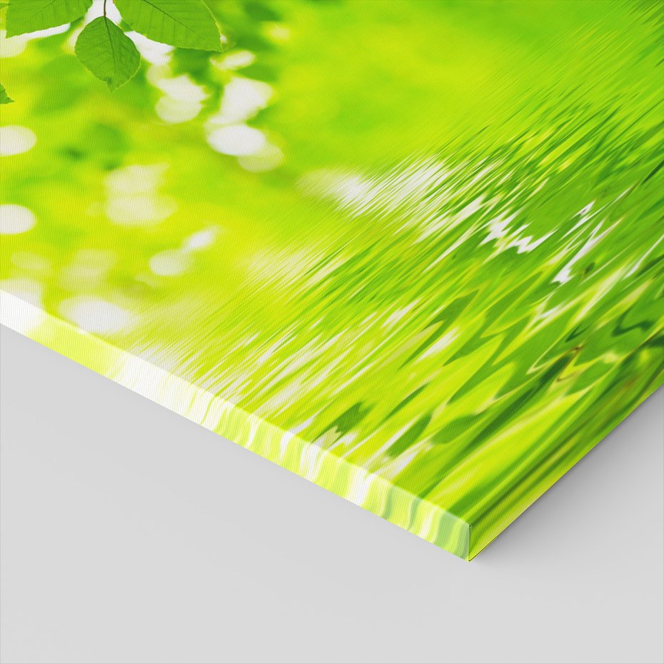 Obraz na płótnie - liście, woda, zieleń
